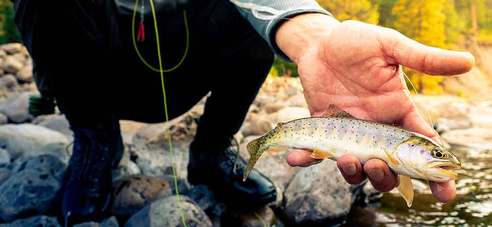 Fly fishing in the Uinta Mountains, Utah.